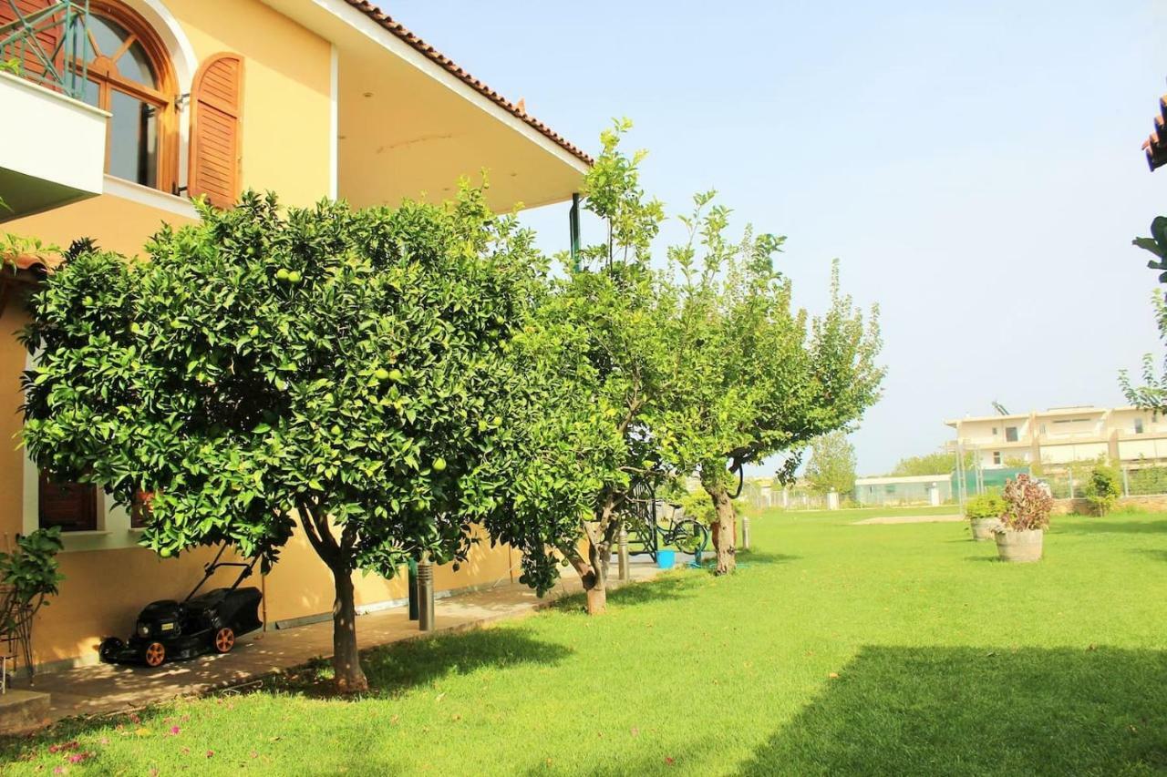 Athens Countryside Resort With Pool Pallini  Esterno foto