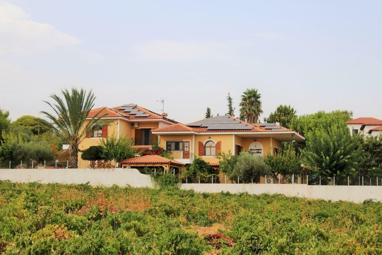 Athens Countryside Resort With Pool Pallini  Esterno foto